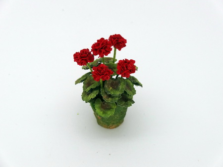 Red Geraniums (image for) Red Geraniums